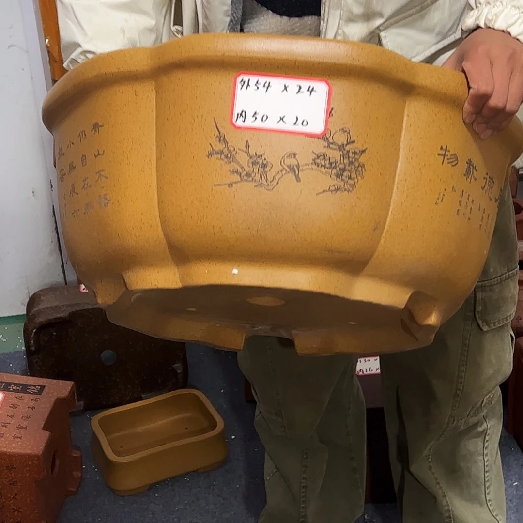 紫砂其他紫砂花盆