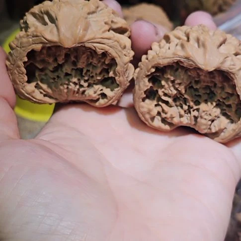 文玩核桃吊坠48聚宝盆