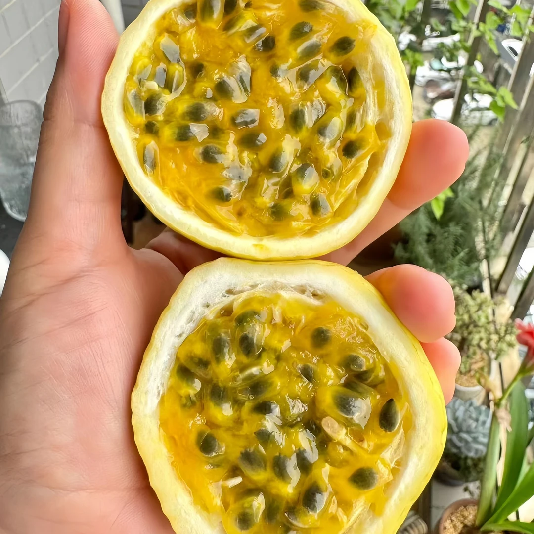 【果乐多】广西南宁钦蜜9号黄金百香果香甜新鲜水果应季汁水丰富