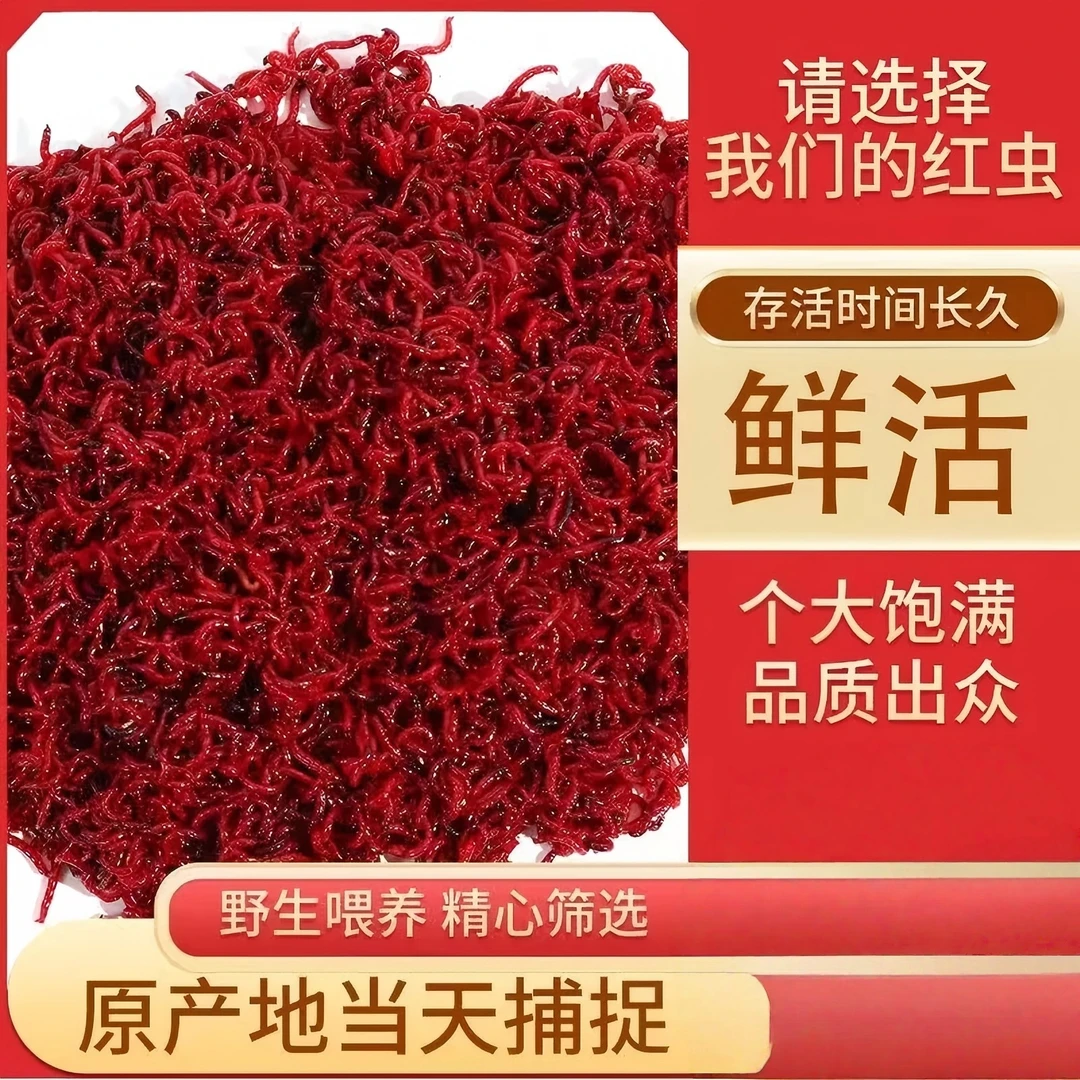 【今日特价】红虫钓鱼活饵开饵料肉夹馍开制伴侣红虫夹挂钩鱼食鱼饵