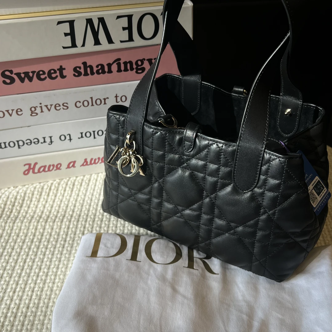 99新 DIOR/迪奥 Dior迪奥 黑金土著小号单肩包24年