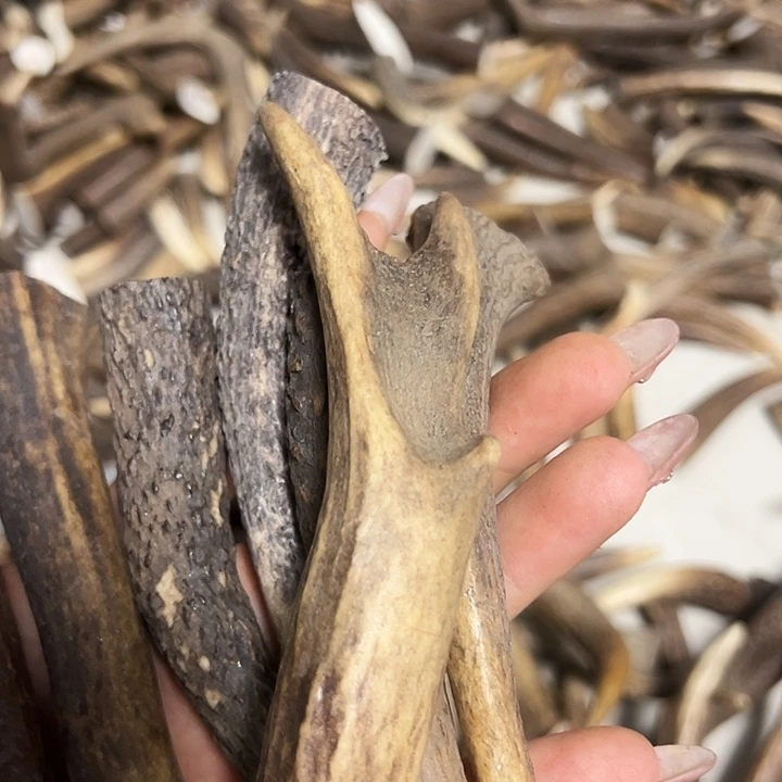 金***¹香榧木木雕款鹿角