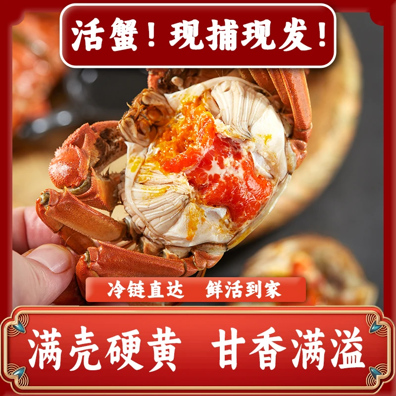 【活蟹现发】江苏精品大闸蟹 公4.5-4.2母3.5-3.2两对半 到手10只