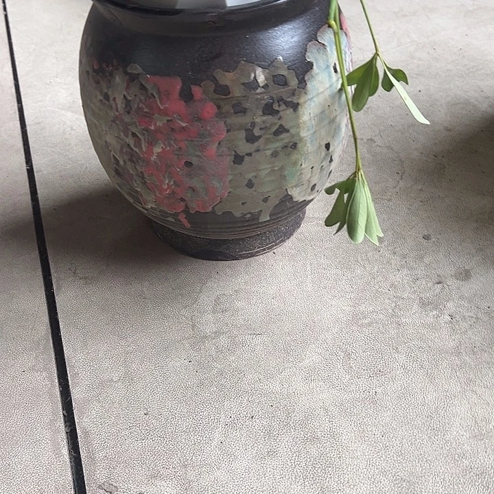 正品高度24厘米口径19