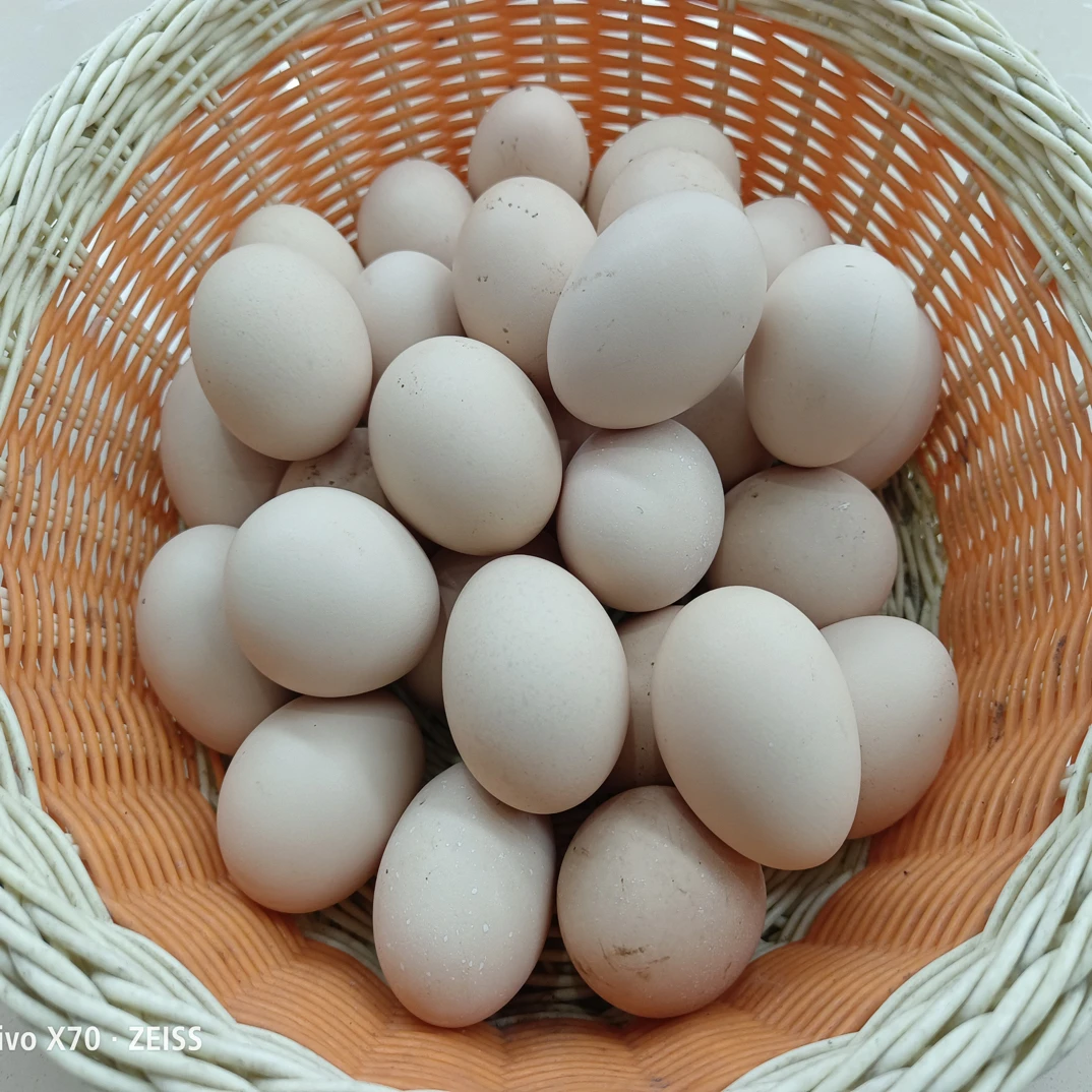 姜妈赶集汪村农家土货鸡蛋
