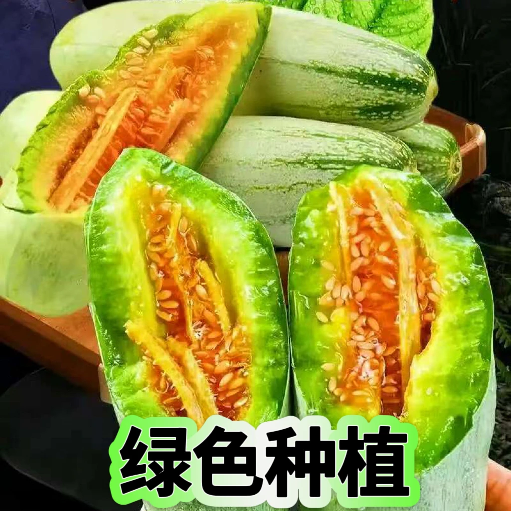 【现摘现发】正宗山东羊角蜜甜瓜新鲜脆甜多汁应季水果香瓜坏果包赔