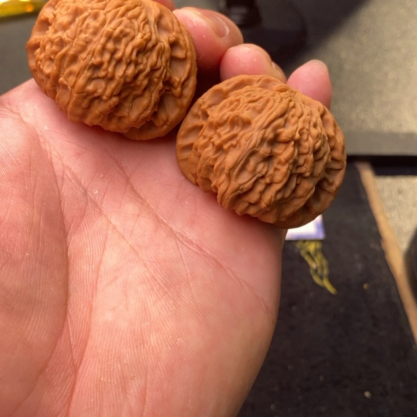 【闪购商品】文玩核桃把件24号43全品闷白