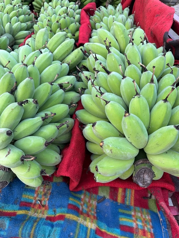 广西正宗苹果蕉新鲜当季水果香甜软糯自然熟