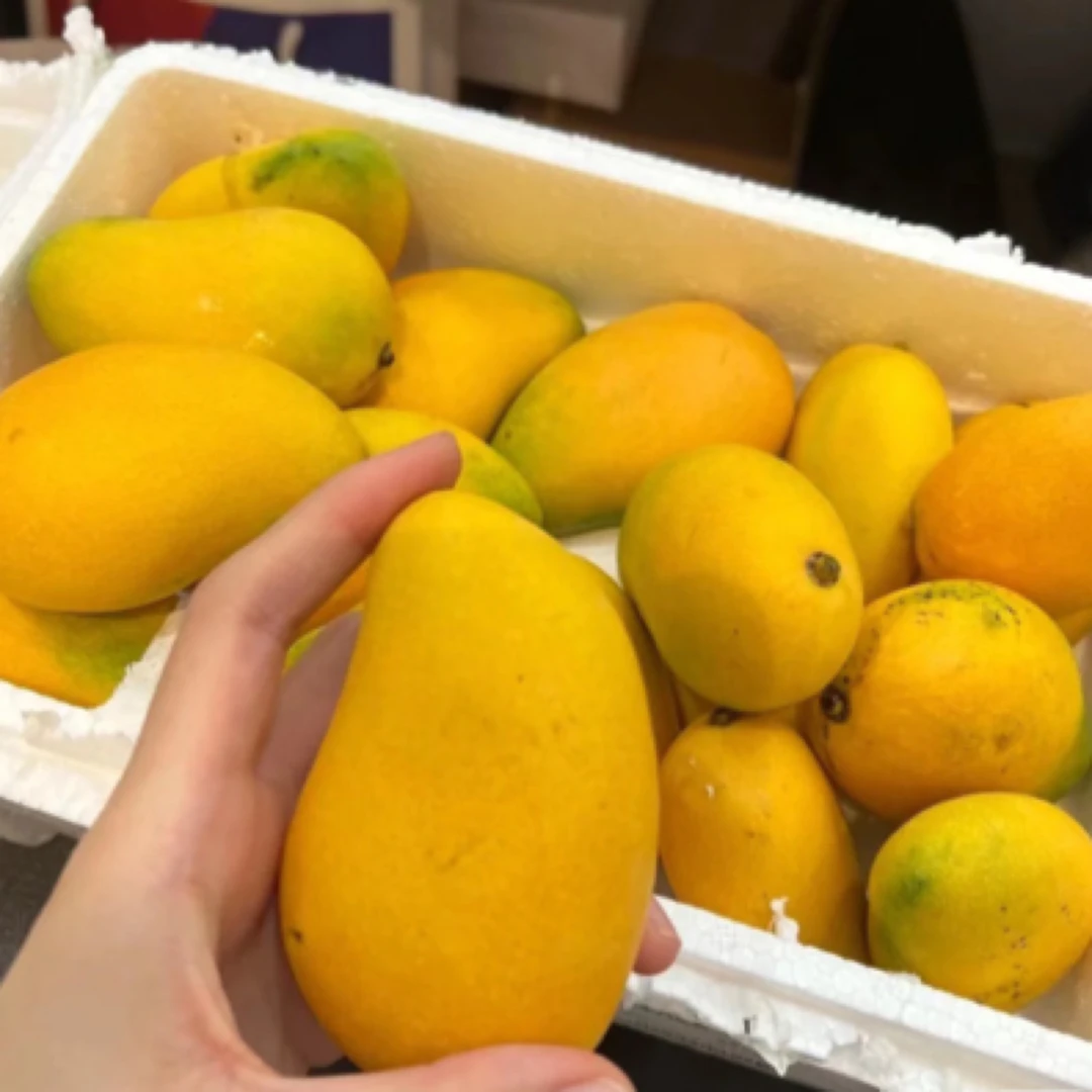 精品小台芒一箱（2斤左右）芒果同城送