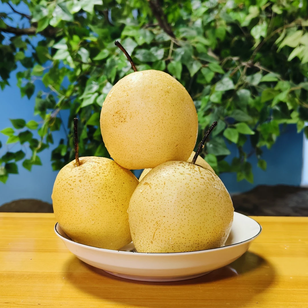 正宗河北赵县雪花梨新鲜水果清甜可口冰糖雪梨