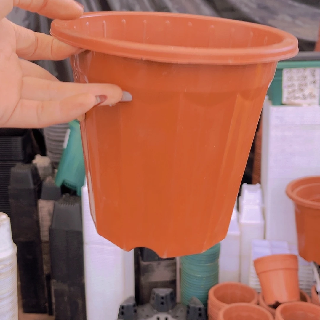 口径20高18红砖盆20个