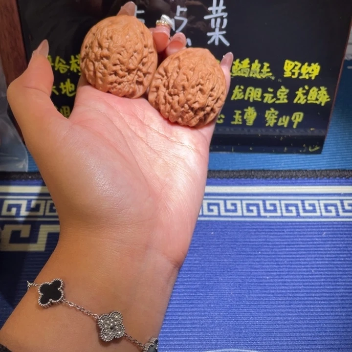 42野生蜡皮王101 11111