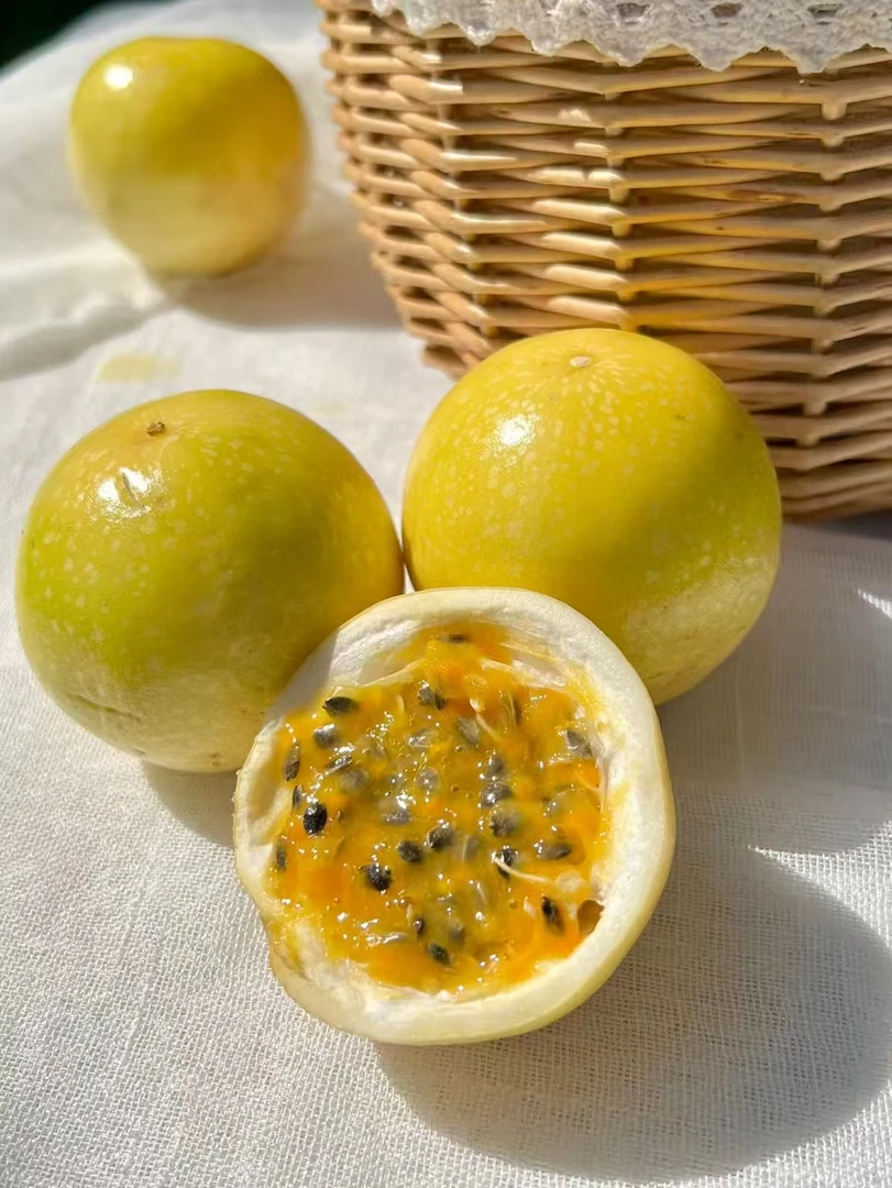 云南钦蜜九号黄金百香果原产地新鲜采摘3/5斤包邮