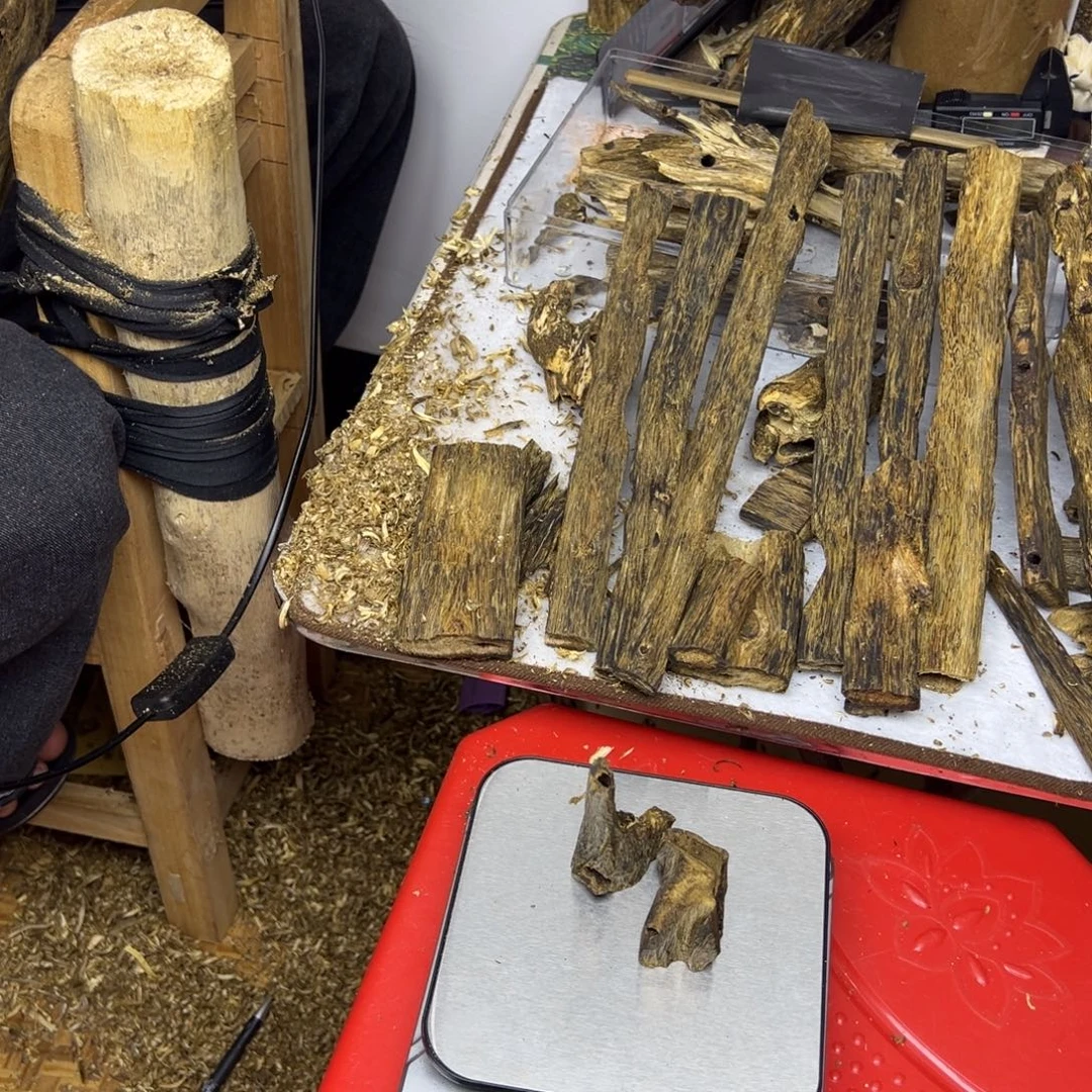 线香奇楠虫漏香26克