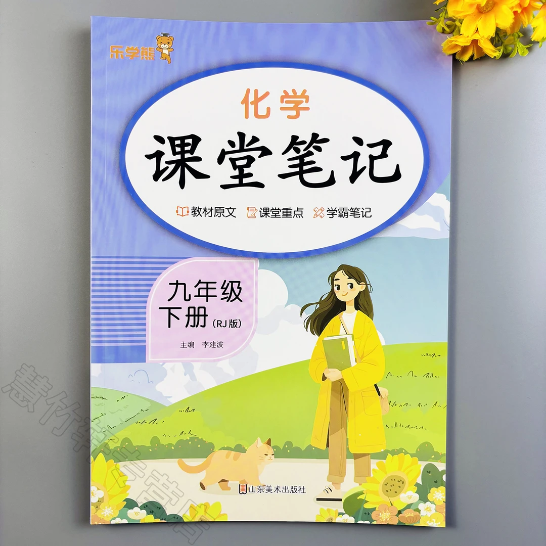 初中九年级下册化学课堂笔记人教版同步教材讲解预复习书课本解析