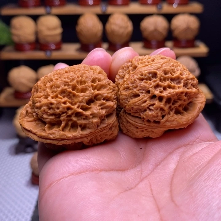 木质类云铁蝉王54号