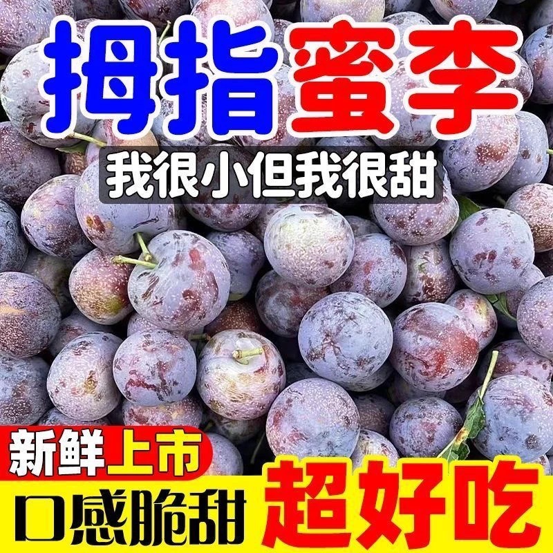 四川正宗脱骨脆红李新鲜应季水果脆甜多汁
