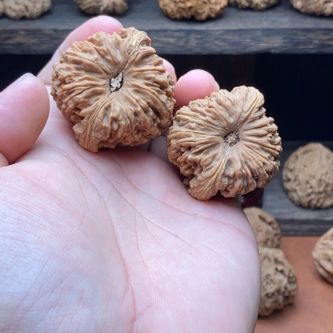 核桃凹底团子南将石