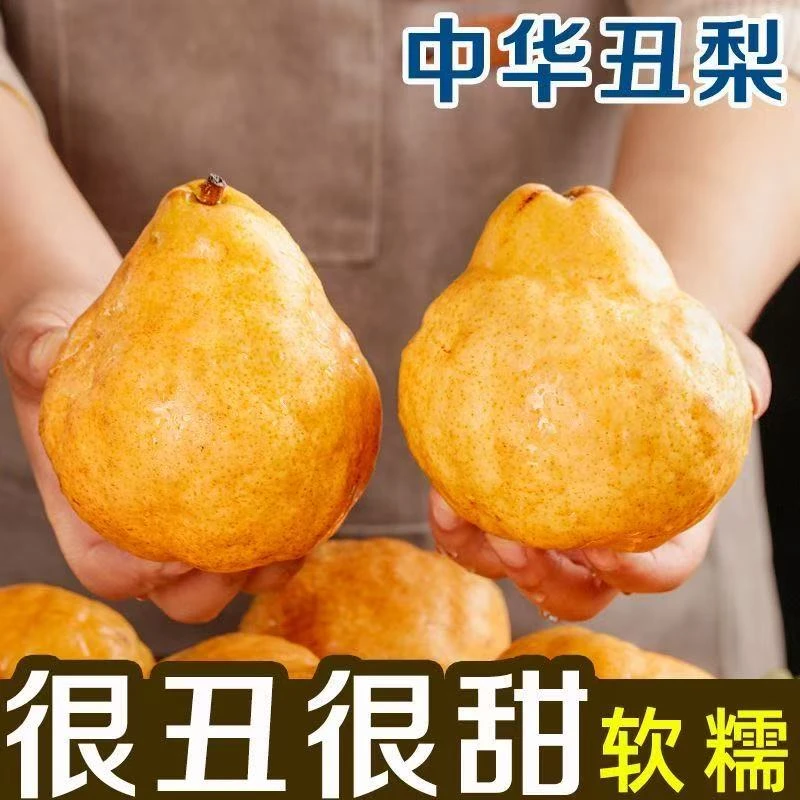 正宗丑梨软糯多汁香蕉软啤梨太婆梨当年水果烟台莱阳红皮梨3/9斤