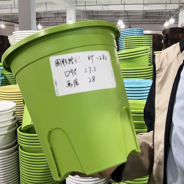 正品圆控口27.5高28果绿无托5只