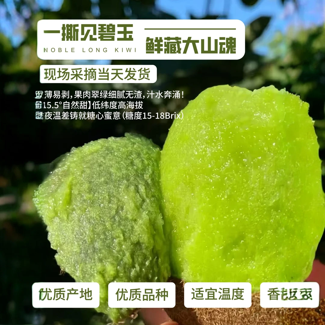 贵长绿心猕猴桃新鲜应季水果香甜多汁