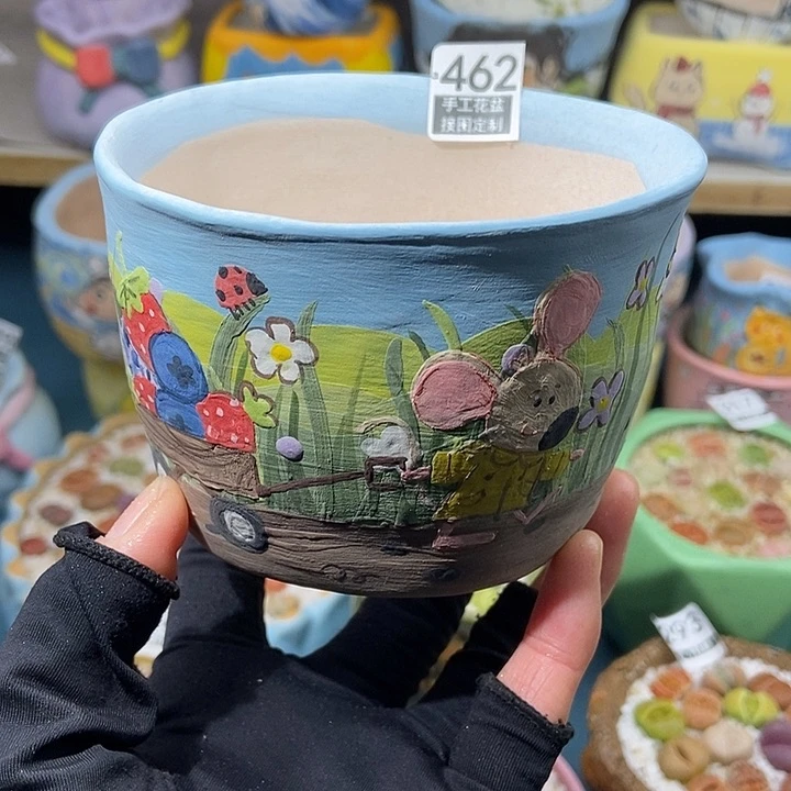 大舅生石花肉锥多肉462