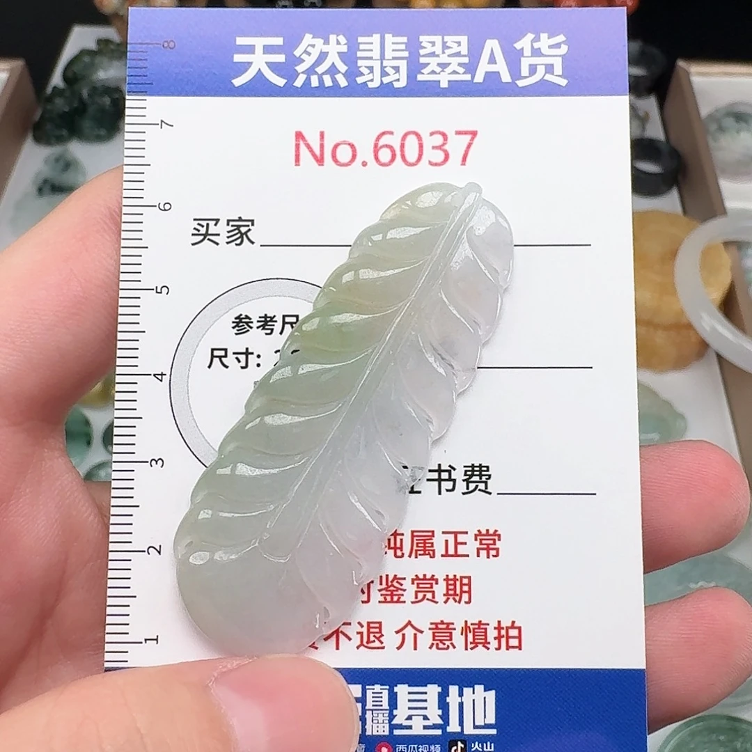 颈饰未镶嵌翡翠…37