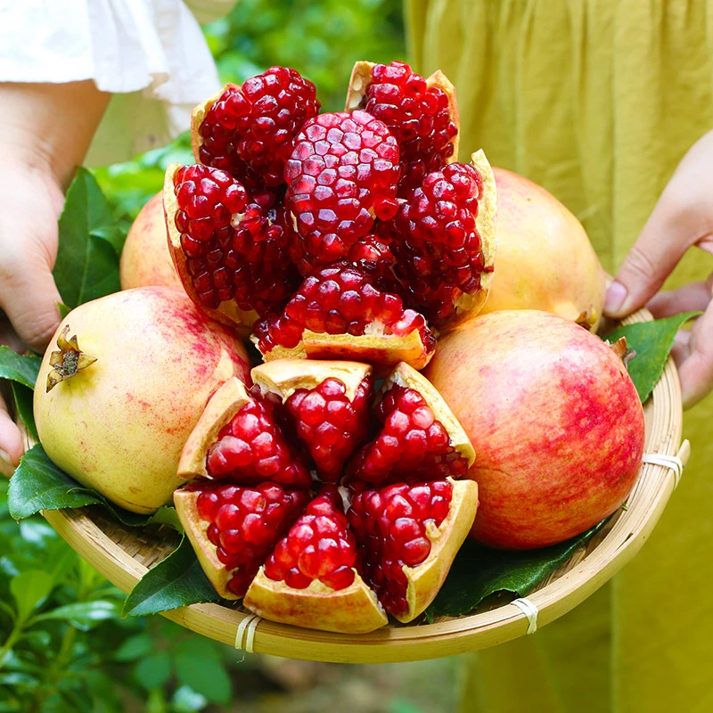 【软籽石榴】【一级果】软籽石榴新鲜水果皮薄多汁4.5斤Q