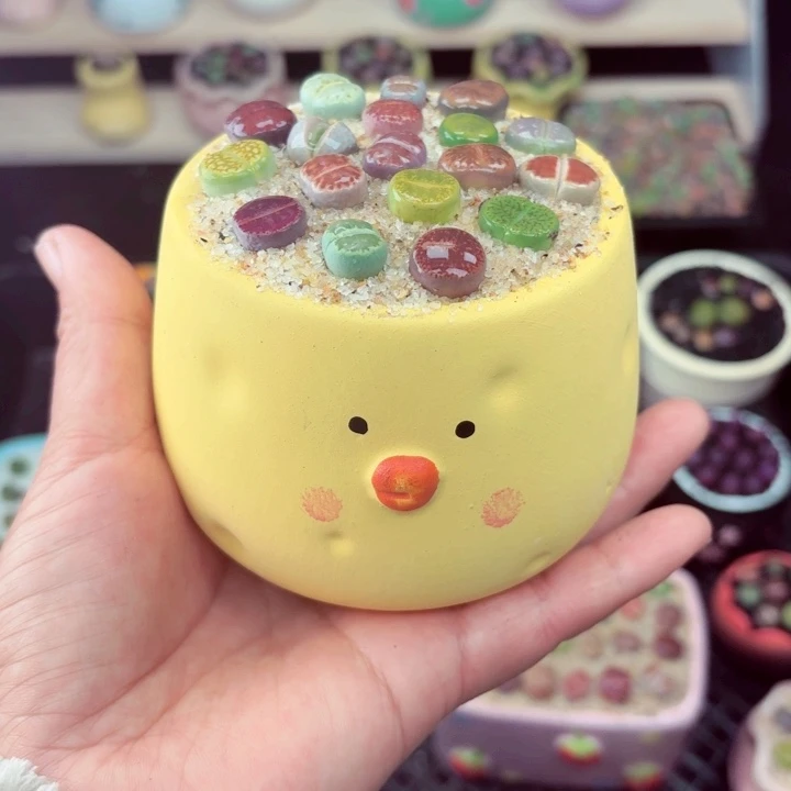 656零下地区记得拍保温箱满18包邮