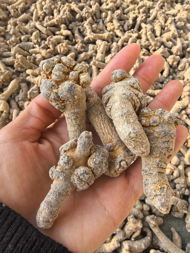 云南滇西土特产、农产品三-七