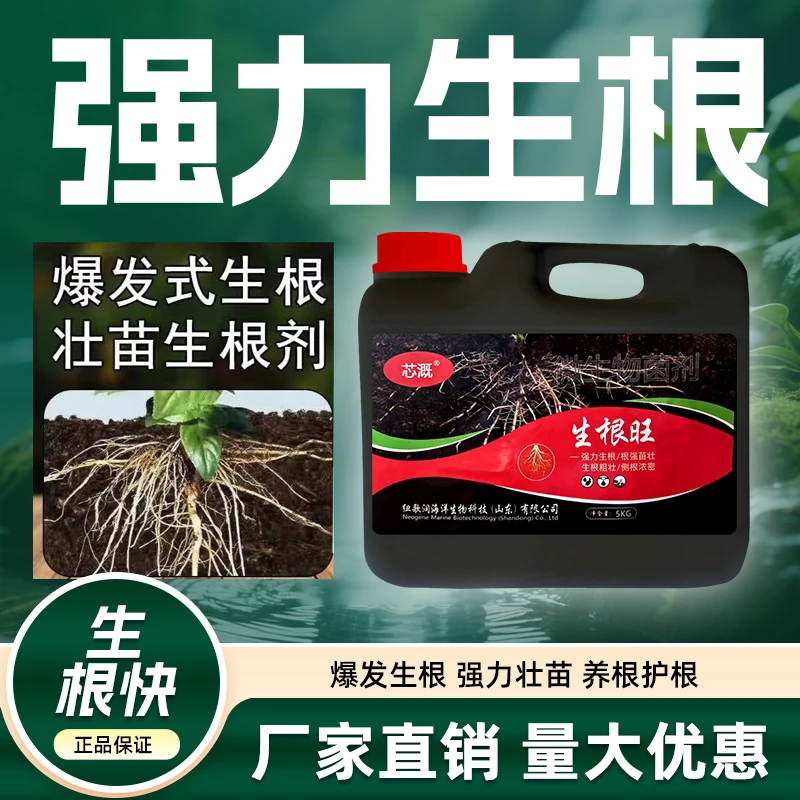 猛生根原液生根壮苗果树蔬菜花卉育苗强力发根防根腐抑线虫水溶肥