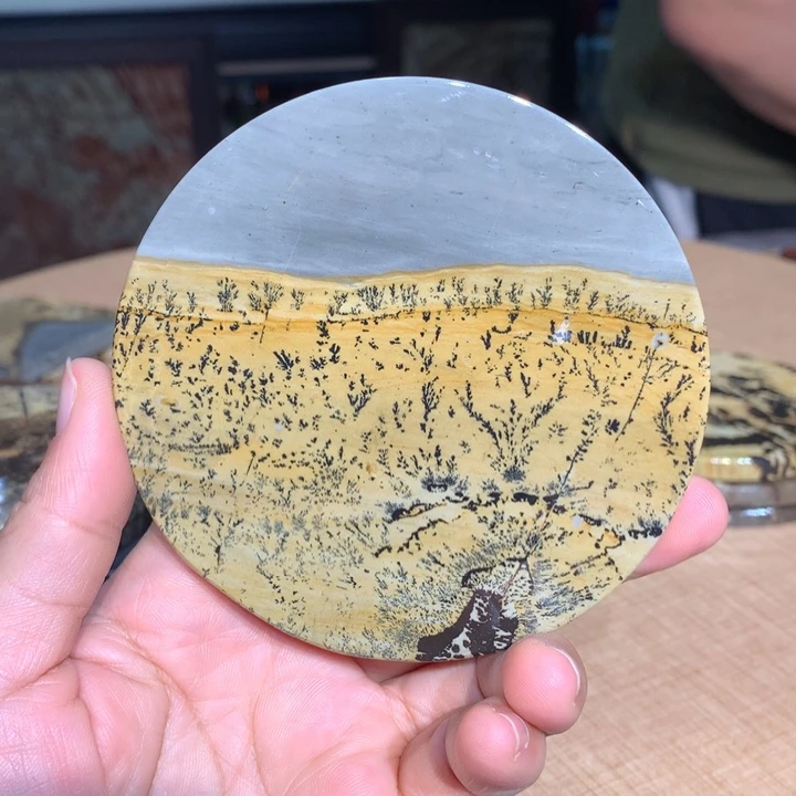 ，广西国画石摆件，收藏观赏