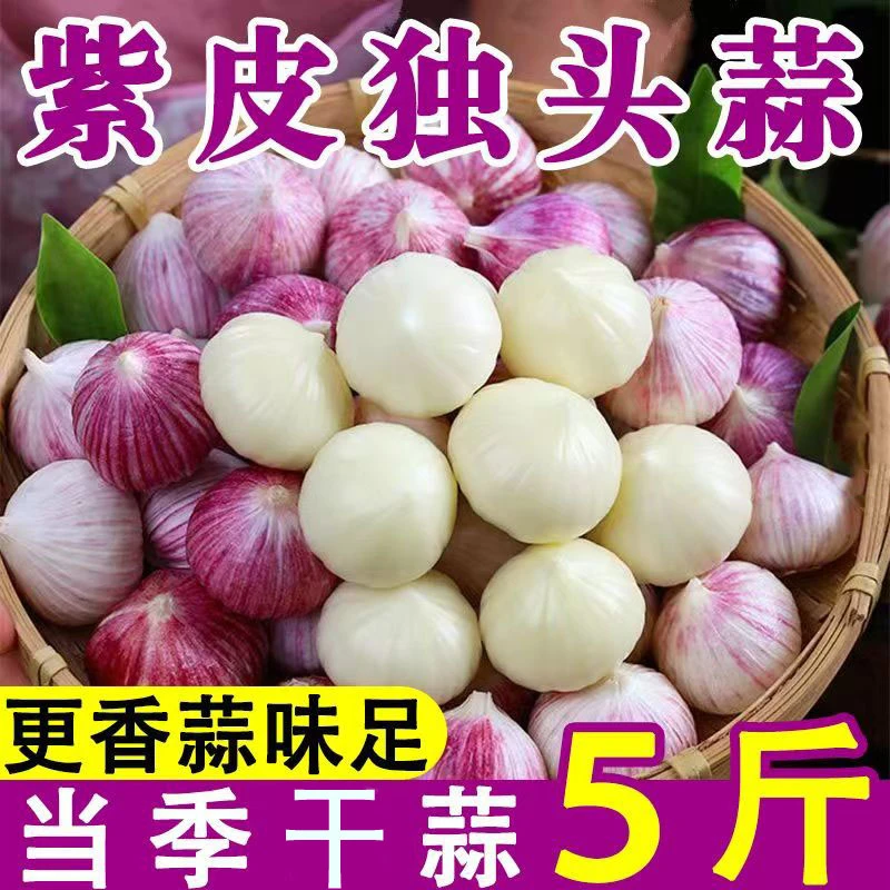 新大蒜云南紫皮大蒜独头蒜独蒜头红皮大蒜农家新鲜大蒜干蒜头批发