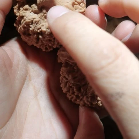 猴头核桃吊坠忽***滴54龙鼎官