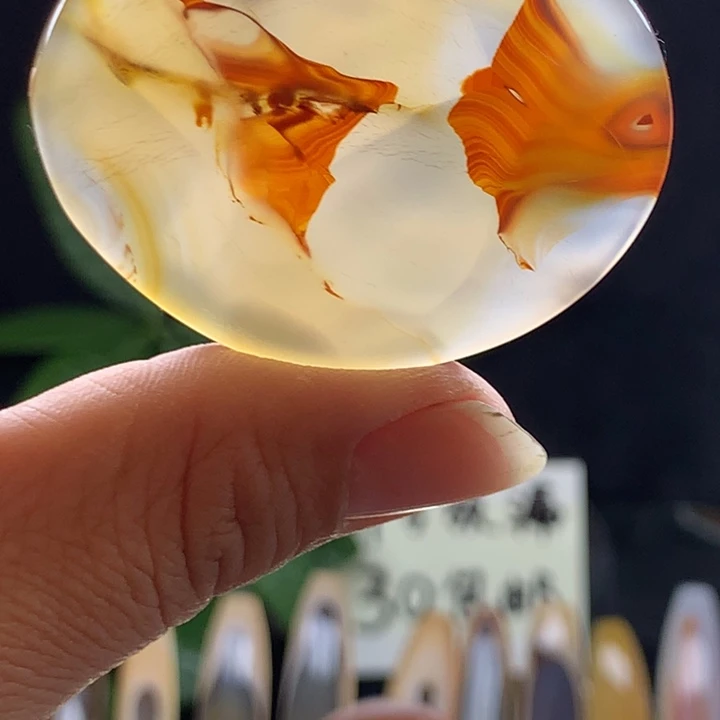 玛瑙/玉髓颈饰未镶嵌257