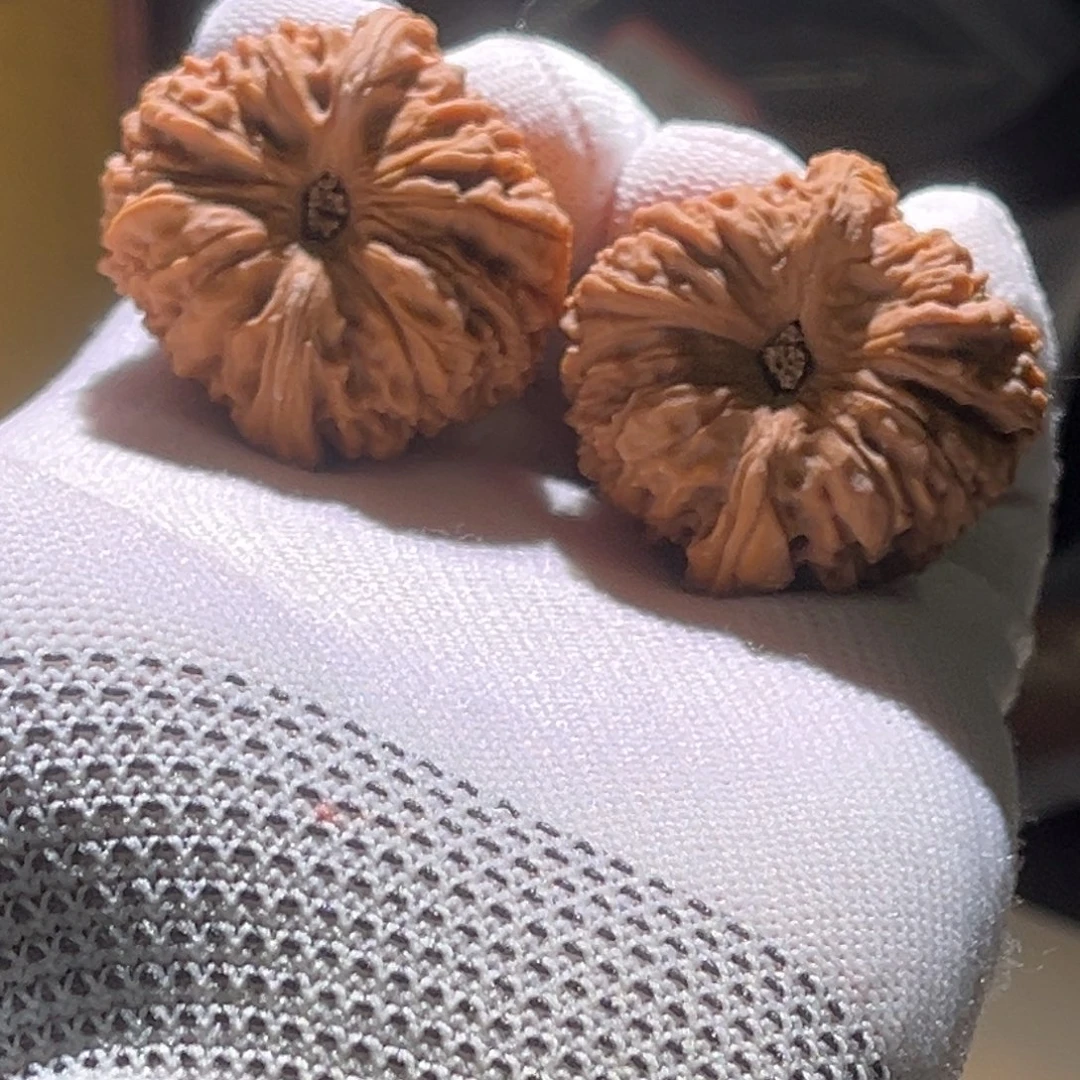 w***W全品。38蹑手蹑脚。全品。
