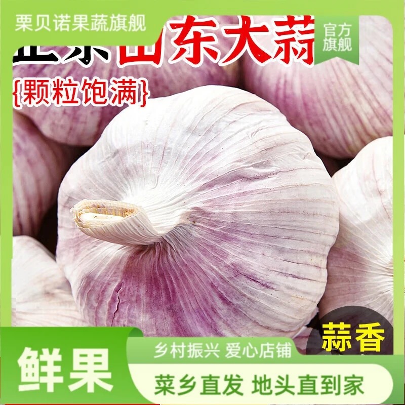 山东大蒜干蒜/鲜蒜多瓣蒜头蔬菜批发产地直发大蒜头