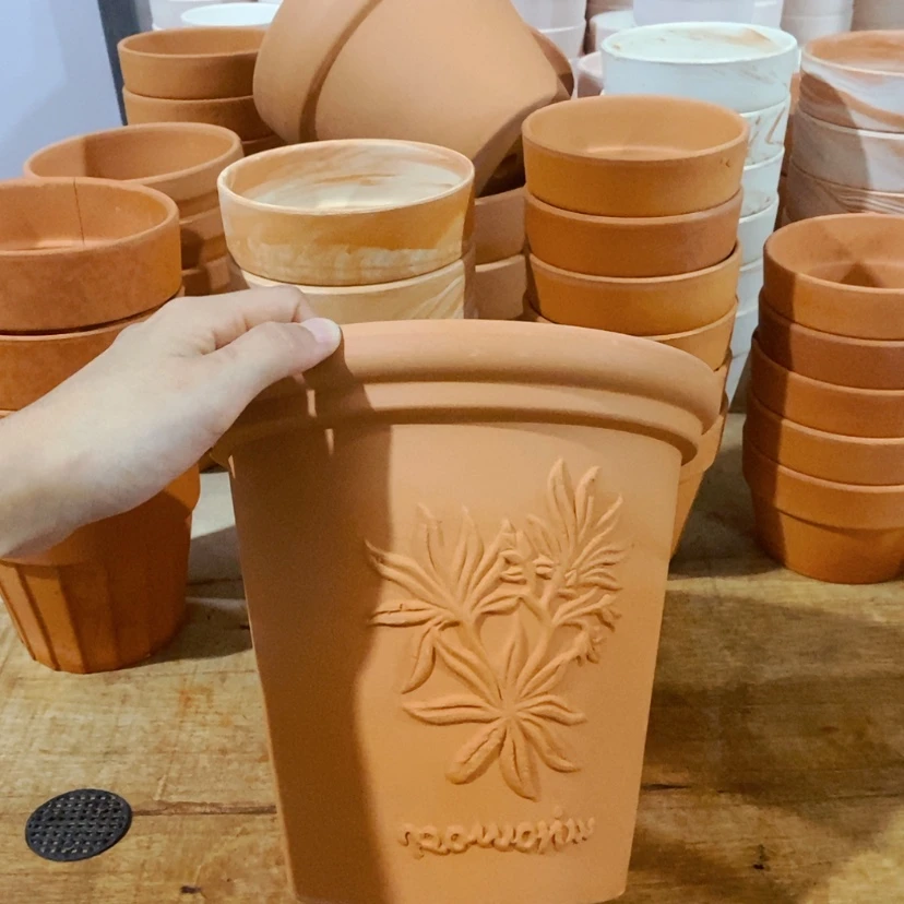 【闪购商品】香草20×19-1