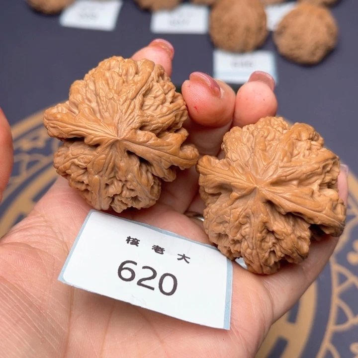 文玩核桃把件44大粗筋 620 微修