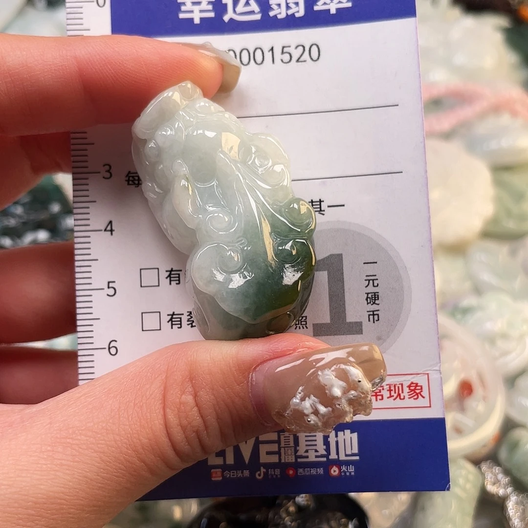 翡翠未镶嵌颈饰1520