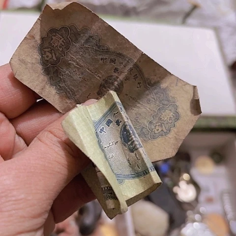 香榧木꧁****Ggvghhfvvvgccc