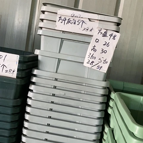 树脂编号402无托5个