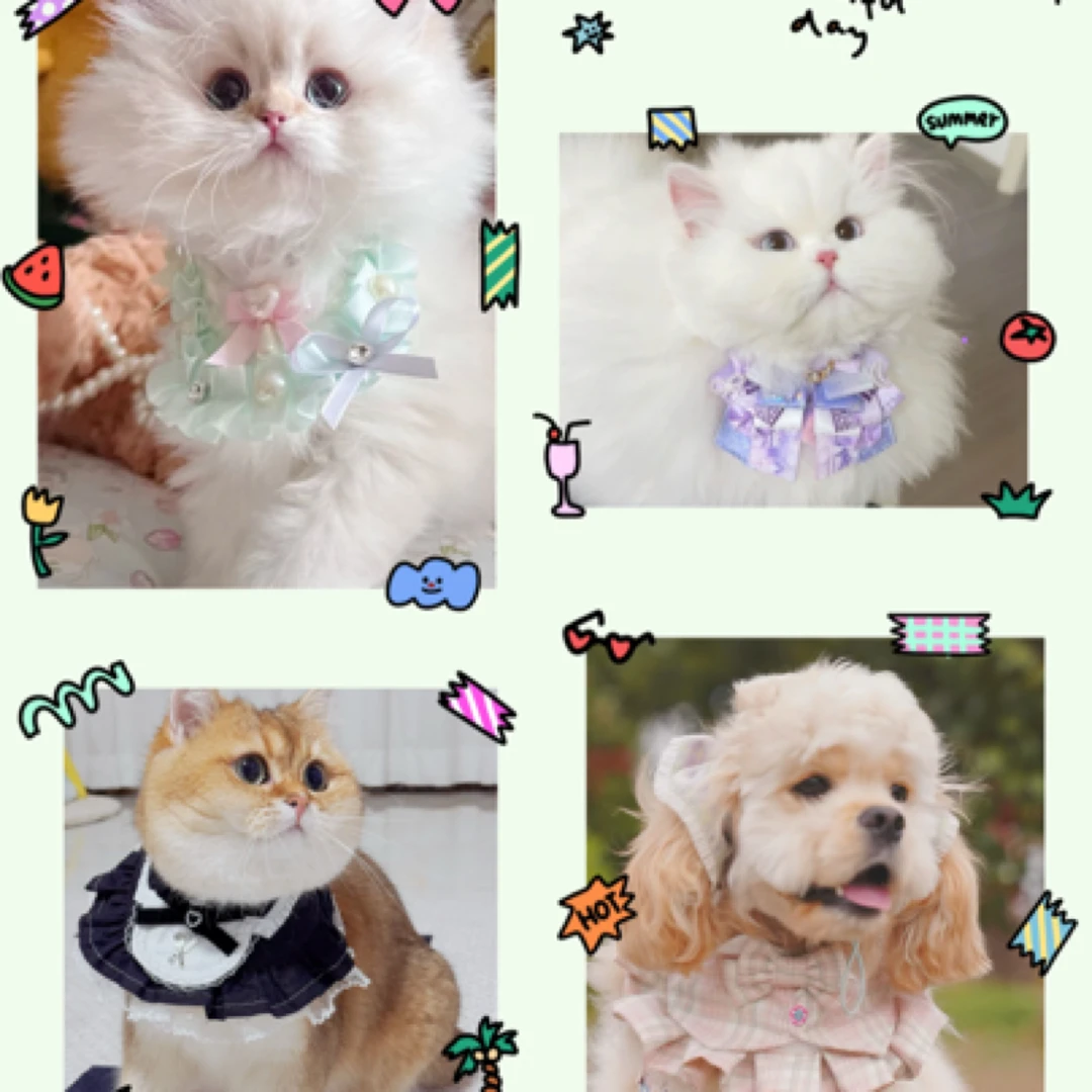 衣服福利猫主子宠物衣服