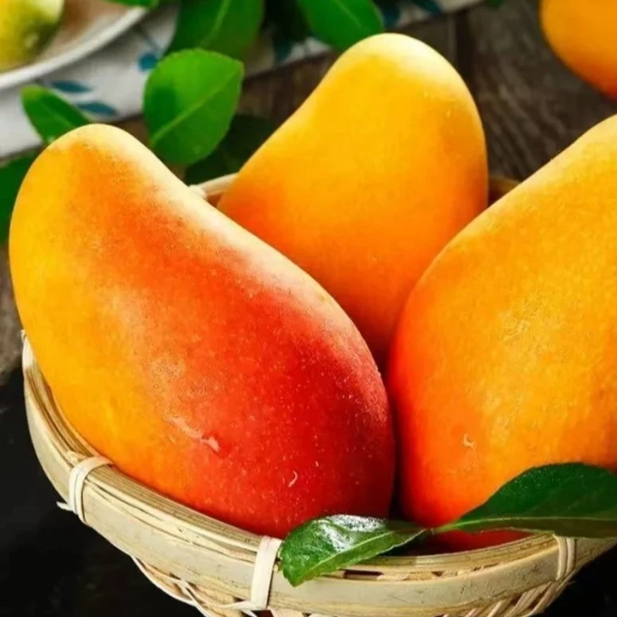 贵妃芒  带箱5.5斤左右