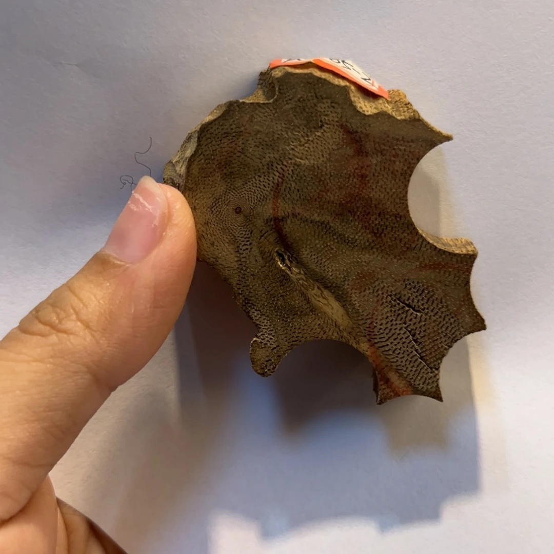 洋***姐吊坠沉香菩萨棋随形吊坠