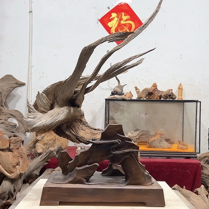 柏木道****5我们都是好孩子呀打榜