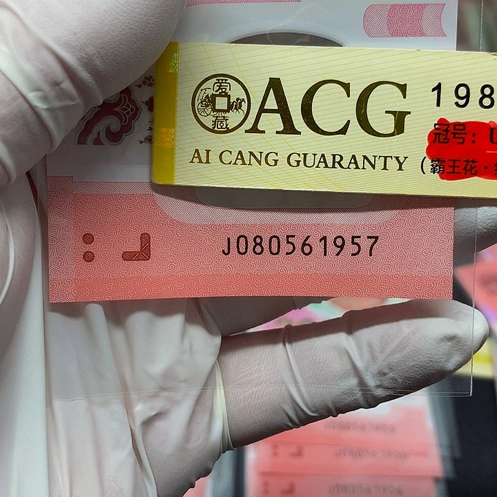 一张一张一张一张一张