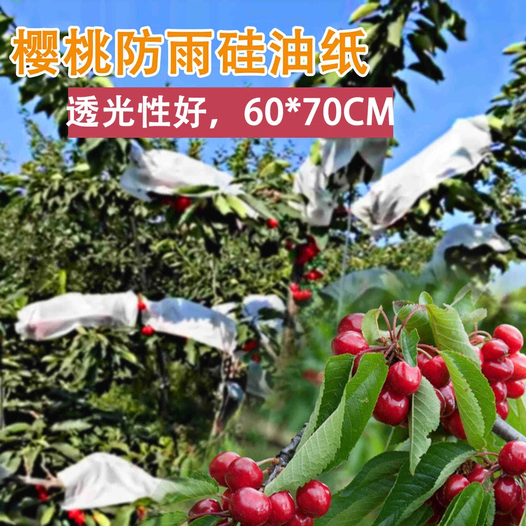 樱桃防裂口油纸水果专用防雨纸车厘子防水透光好加厚长方形