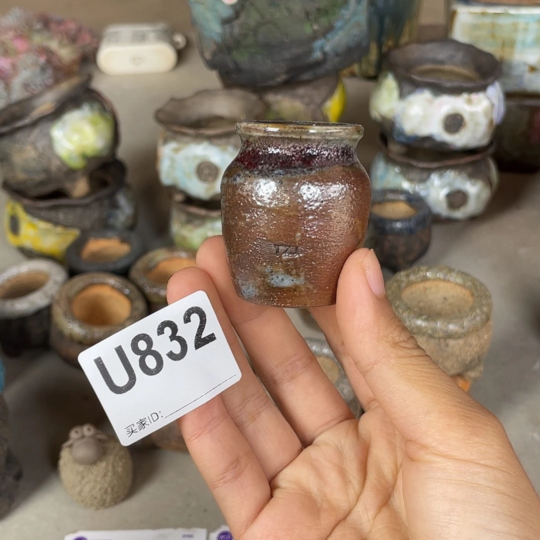 双十一限时福利 内口2.5