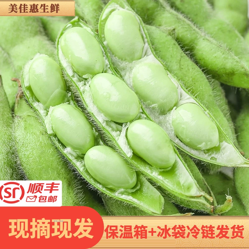 2025新鲜带壳毛豆现摘现发3斤5斤装泡沫箱加冰发货